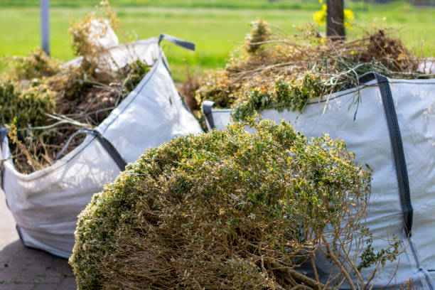 Best Affordable Junk Removal Services  in Lula, GA
