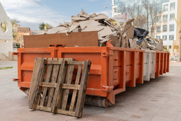 Best Professional Junk Removal  in Lula, GA
