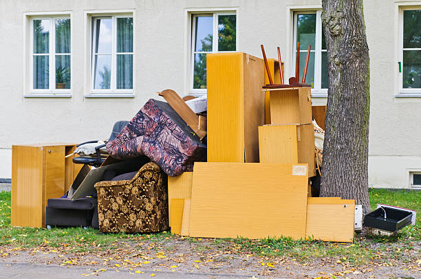 Yard Cleanup Services in Lula, GA